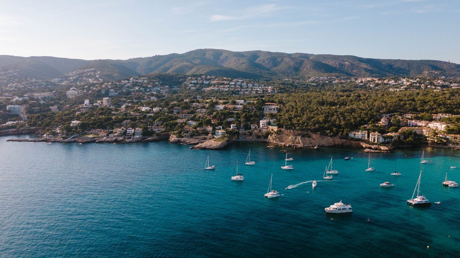 Catamarans anchored in a wide bay beneath wooded hills